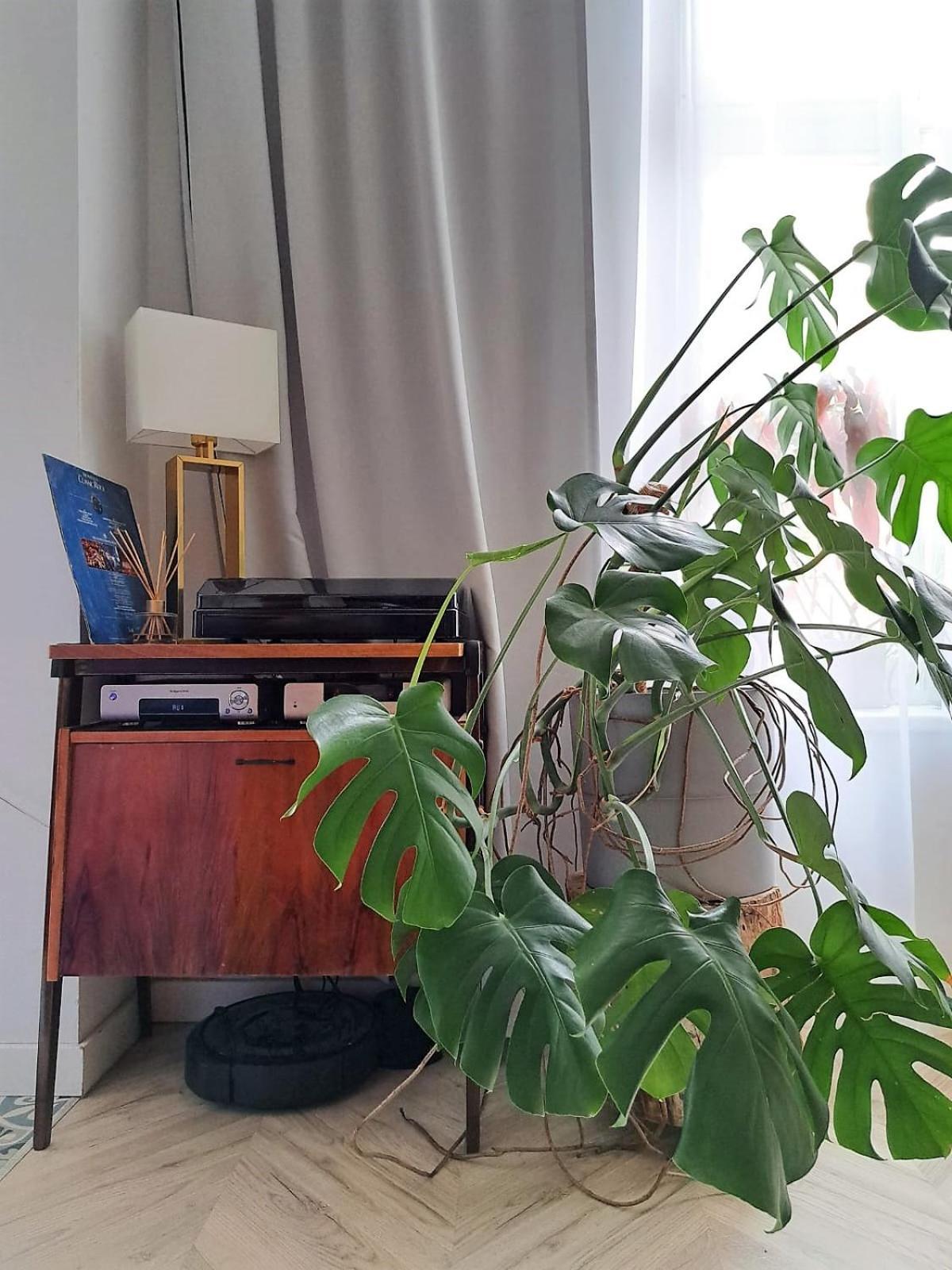 Bohema Apartement With Private Parking Stary Toruń Zewnętrze zdjęcie