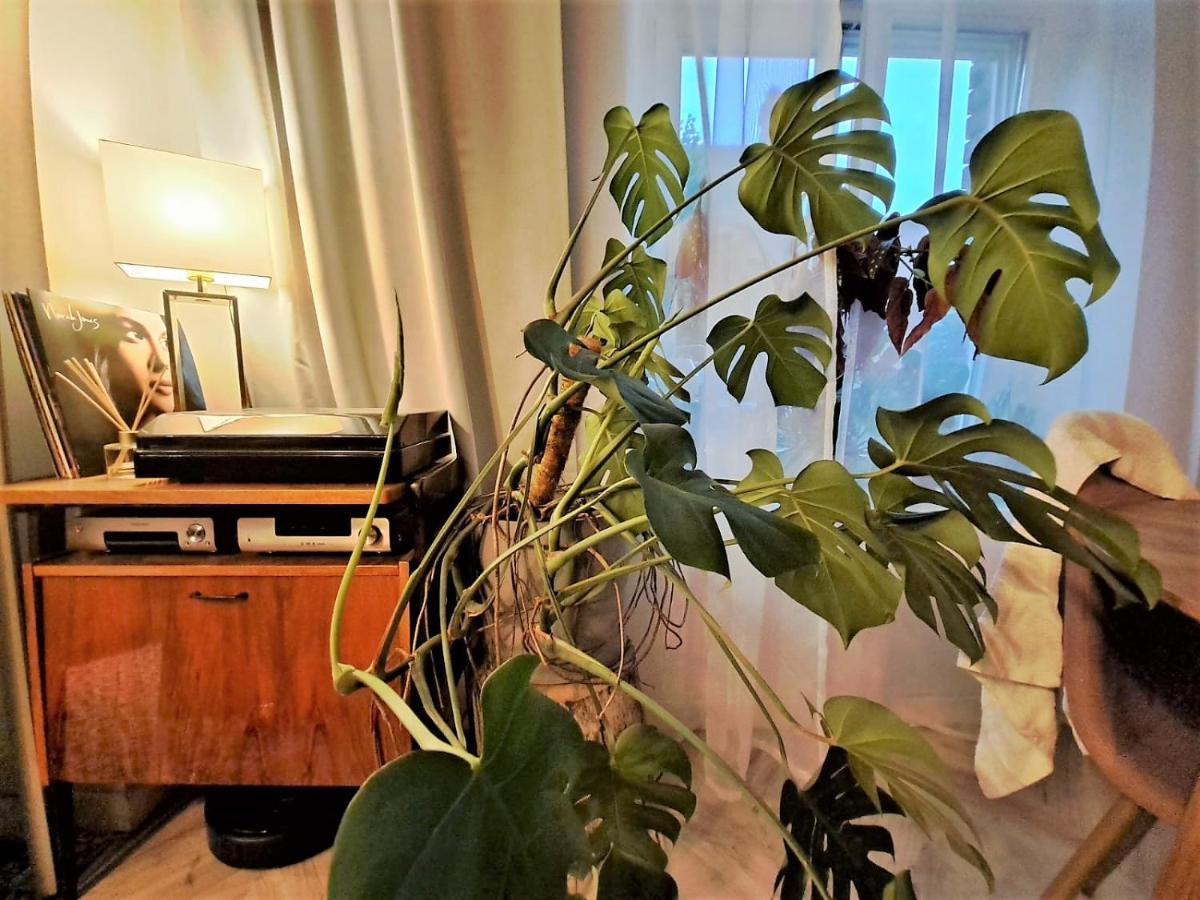 Bohema Apartement With Private Parking Stary Toruń Zewnętrze zdjęcie